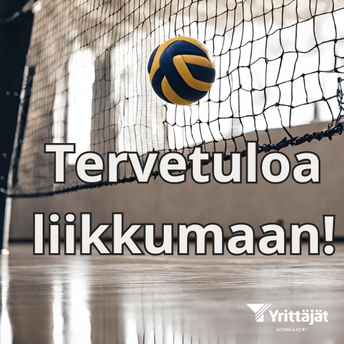 Lentopallo, verkko ja yrittäjien logo