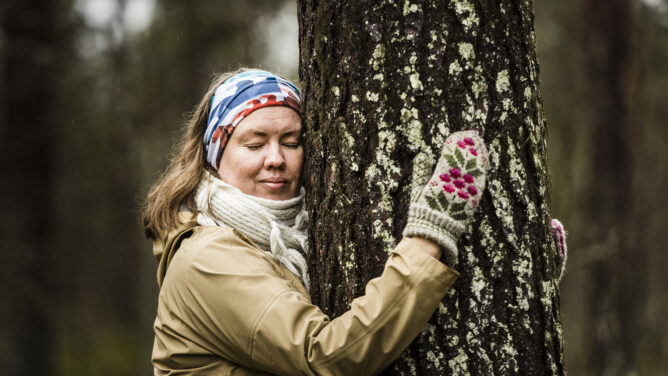 Riitta Raekallio-Wunderink | HaliPuu Pocket Forest