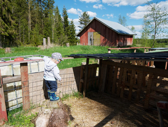 Hakunin kotieläintila