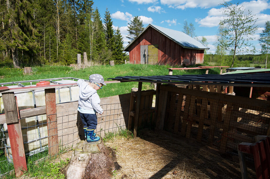 Hakunin kotieläintila