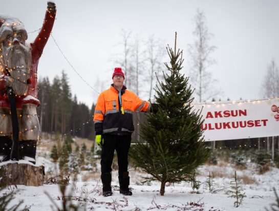 Joulukuusikauppa