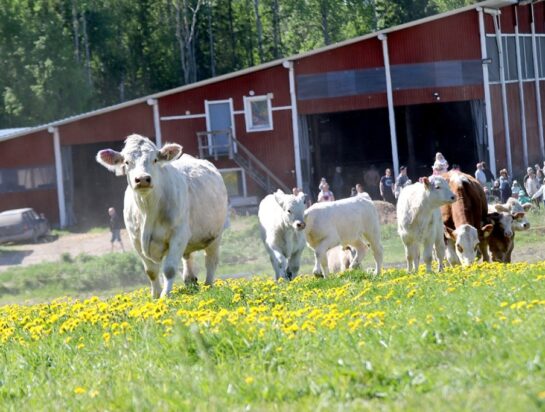 Lihantuottaja purkaa ärtymystään Facebookissa